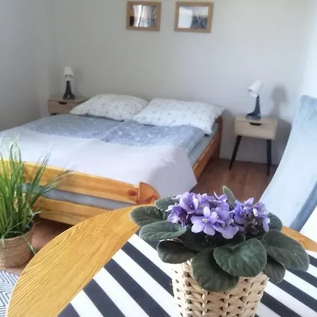Guest house 117 *