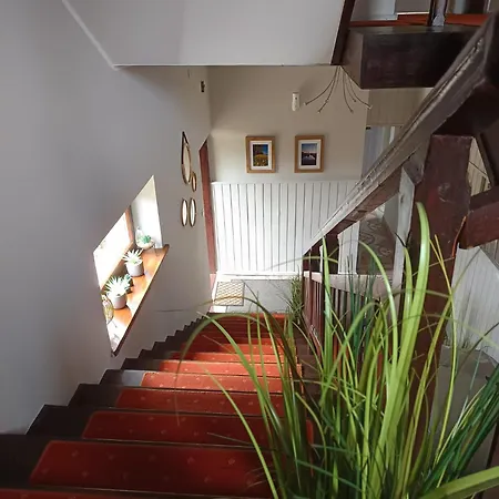 117 Guest house