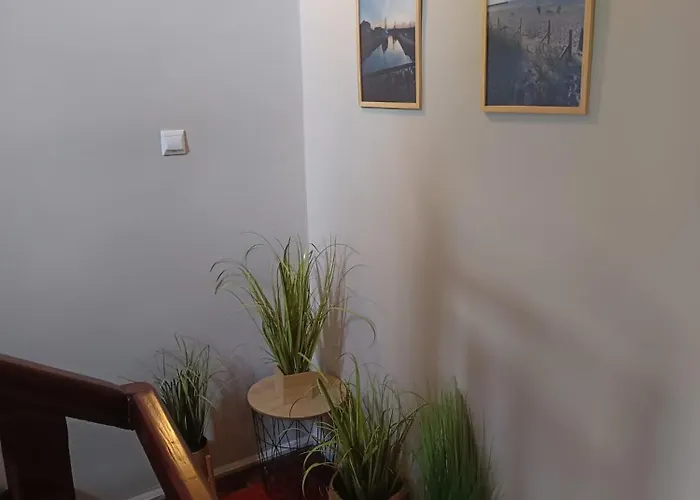 招待所 117 莱鲍